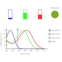 Perception des couleurs