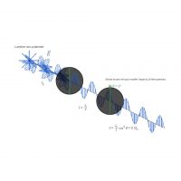 Polarisation